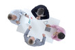 © JPC-PROD - Upper view of business people around table with paper work on white