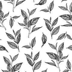 Wall Mural - Tea seamless pattern. Hand drawn tea leaf vector illustration. Vintage packaging design. Engraved style.