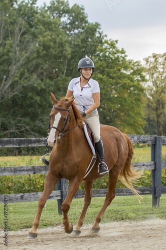 Fotografía Horse and rider turn a corner at a gallop