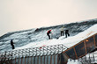mountain climbers cleaning the snow from the roof