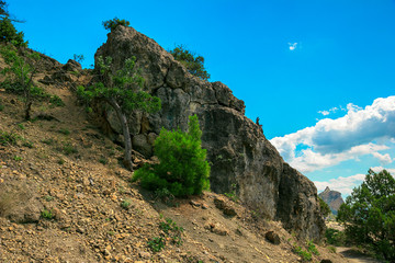 Wall Mural - Beautiful summer sea landscape in the mountains at the resort in the Crimea