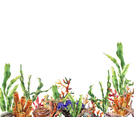 Watercolor coral reef border. Hand painted underwater illustration with laminaria branch, starfish, tridact, mollusk and shell isolated on white background. Nautical illustration for design.