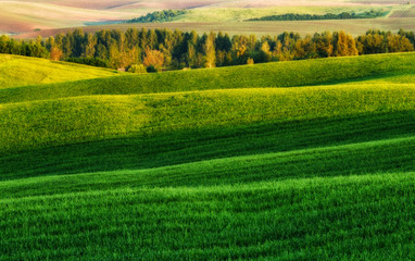  Green field. picturesque hills. beautiful spring field