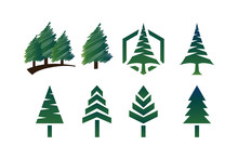 Collection Of Green Pine Tree Template Vector