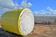 Bale of cotton.