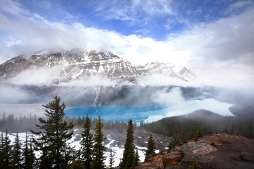 Wall Mural - Peyto lake