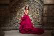 A beautiful woman, a queen in a red luxurious dress, stands on the background of a medieval, Gothic emblem with an arch, silver caron with crystals. The Princess at the Castle