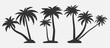 Tropical trees for design about nature.   Set of palm trees silhouettes. Vector illustrations isolated on white background. 