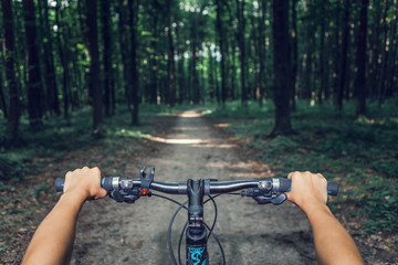 Wall Mural - Mountain biking down hill descending fast on bicycle. View from bikers eyes.