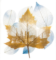 Sticker - transparent maple leaf, leaf skeleton