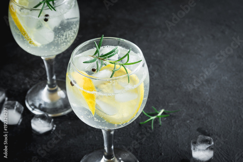 Gin and tonic cocktail Poster Mural XXL