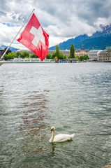 Wall Mural - View of Lake Lucerne in summer season with swiss flag and swan, Switzerland