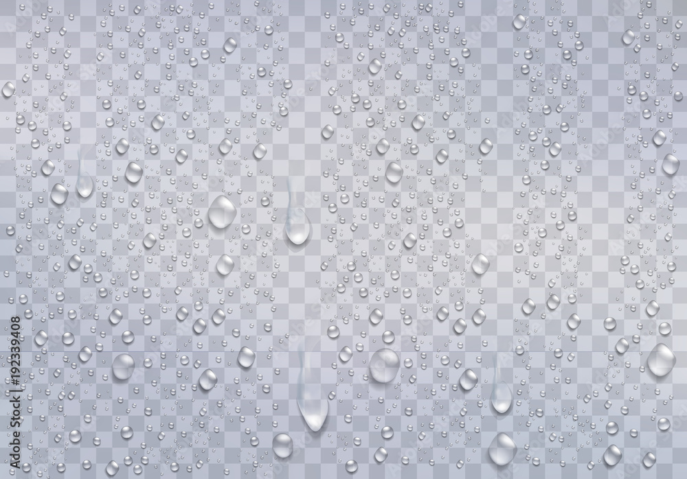 Realistic water droplets on the transparent window. Vector - obrazy, fototapety, plakaty 