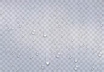 realistic water droplets on the transparent window. vector