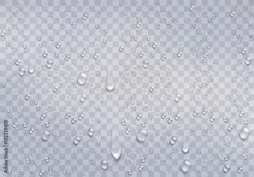 Realistic water droplets on the transparent window. Vector Tableau sur Toile