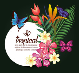 Sticker - tropical and exotics flowers with butterflies vector illustration design