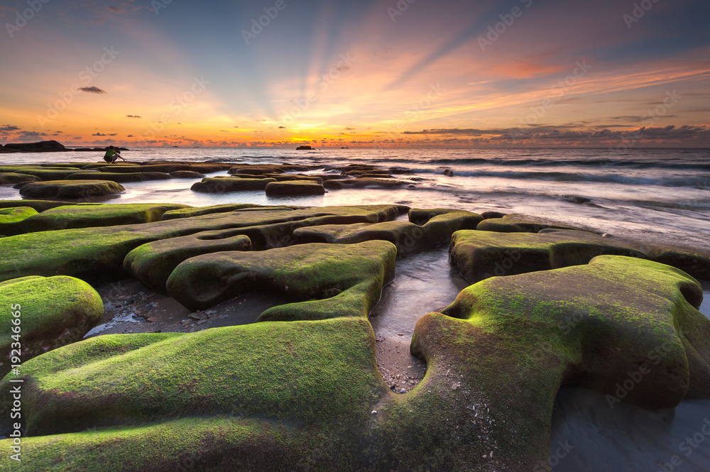 beautiful sunset seascape with green moss and ray of light. - obrazy, fototapety, plakaty 