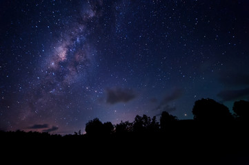 Wall Mural - starry night and milky way galaxy night photograph. image contain soft  focus, blur and noise due to long expose and high iso.