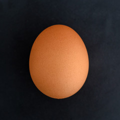 Brown egg on a black background