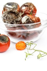 Wall Mural - Moldy tomatoes in a glass bowl on a white background. Unhealthy food. Bad storage of vegetables. Mold on food.