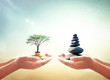 Investment and fund concept: Two human hands holding stacks of golden coins with big tree and Zen stones on blurred nature background