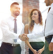 © ASDF - closeup.welcome and handshake of business partners