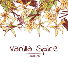 Wall Mural - Vanilla spice poster for advertising company. Trendy food spice or parfum industry component vector illustration. Vanilla flower sticks, leaves and extract oil bottle isolated on white background.