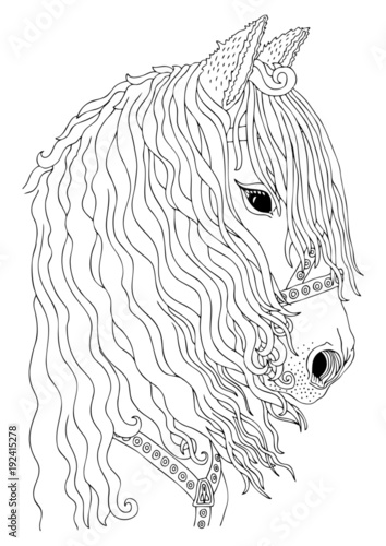 hand drawn horse head sketch for antistress adult coloring