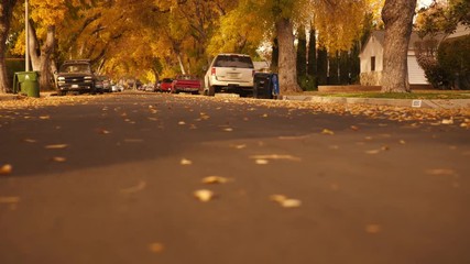 Wall Mural - Beautiful autumn street perspective, slider shot across city road.  Slow motion, 4K UHD.