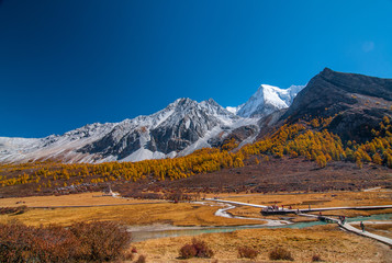 Autumn scenery in Yading Nature Reserve, Daocheng county, Ganzi Tibetan Autonomous Prefecture, Sichuan province of China.