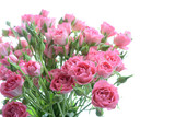Fototapeta Kwiaty - Bouquet of pink roses
