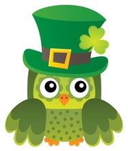St Patricks Day Theme With Owl Image 1