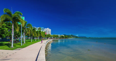 Wall Mural - cairns, australia - 27 march 2016. the esplanade in cairns with palm trees and the ocean, queensland