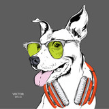 The poster of the dog portrait in hip-hop hat and with headphones. Vector illustration.