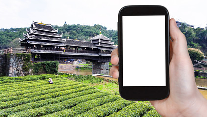 Wall Mural - tourist photographs tea field and Fengyu bridge