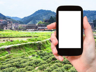 Sticker - tourist photographs tea and rice fields in China