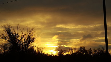 Forest pine trees silhouette against colorful clouds at sunset. Sunset, silhouettes of trees