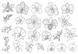 Hand drawn set of orchid flowers.