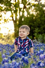 Adorable Little Boy In A Field Of Bluebonnets In Central Texas 