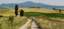 Woman In A Tuscan Countryside