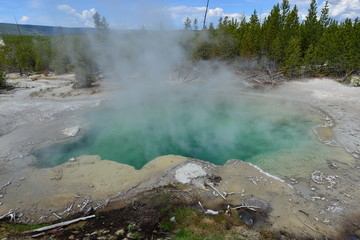 Trip to Yellowstone National Park, USA