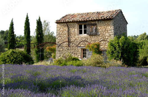 Luberon Vaucluse Maison De Pierre Et Lavande Provence France Stock Photo Adobe Stock