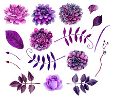 Watercolor Purple Flowers Clipart. Floral Clip Art