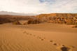 © Jose Luis Stephens - Footprints at Valle de la Muerte (Spanish for Death Valley), Los Flamencos National Reserve, San Pedro de Atacama, Atacama desert, Antofagasta Region, Chile, South America