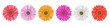 Separate gerbera daisy flower row, for horizontal banner, in different colors. Vector illustration isolated on white
