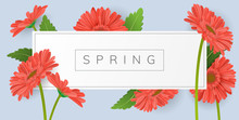 Horizontal Banner For Text With Red Gerbera Daisy Flower And Green Leaf. Vector Illustration Frame On Blue Background For Spring And Summer