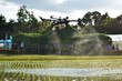 Carrying agriculture drone, photo image of agriculture drone carry a tank of liquid fertilizer flying over the rice field and spraying it on a rice sprouts, agriculture technology, drone technology