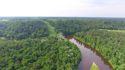 Wall Mural - Gauja National Park aerial view, river and forest