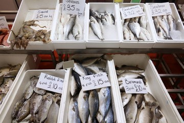 Canvas Print - Sea food UK