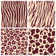 © kimfoto1986 - Print set safari jungle animal fur stripe animals bengal tiger giraffe zebra texture pattern seamless repeating white black orange brown